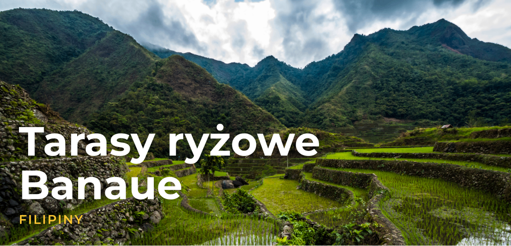 Widok na zielone tarasy ryżowe w Banaue.