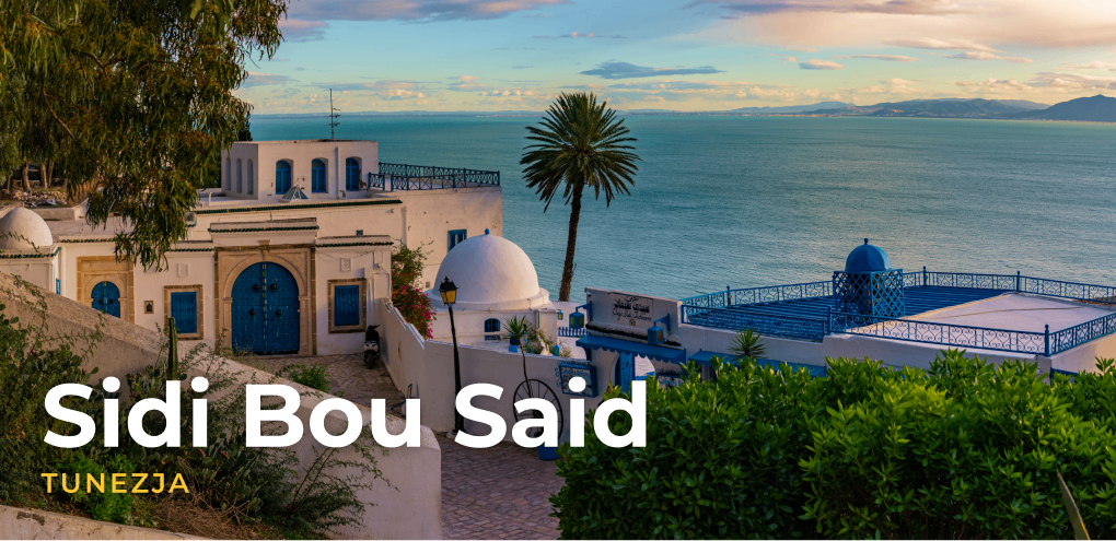 Widok na zabudowania Sidi Bou Said i morze.