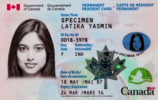 Photo pour le passeport canadien