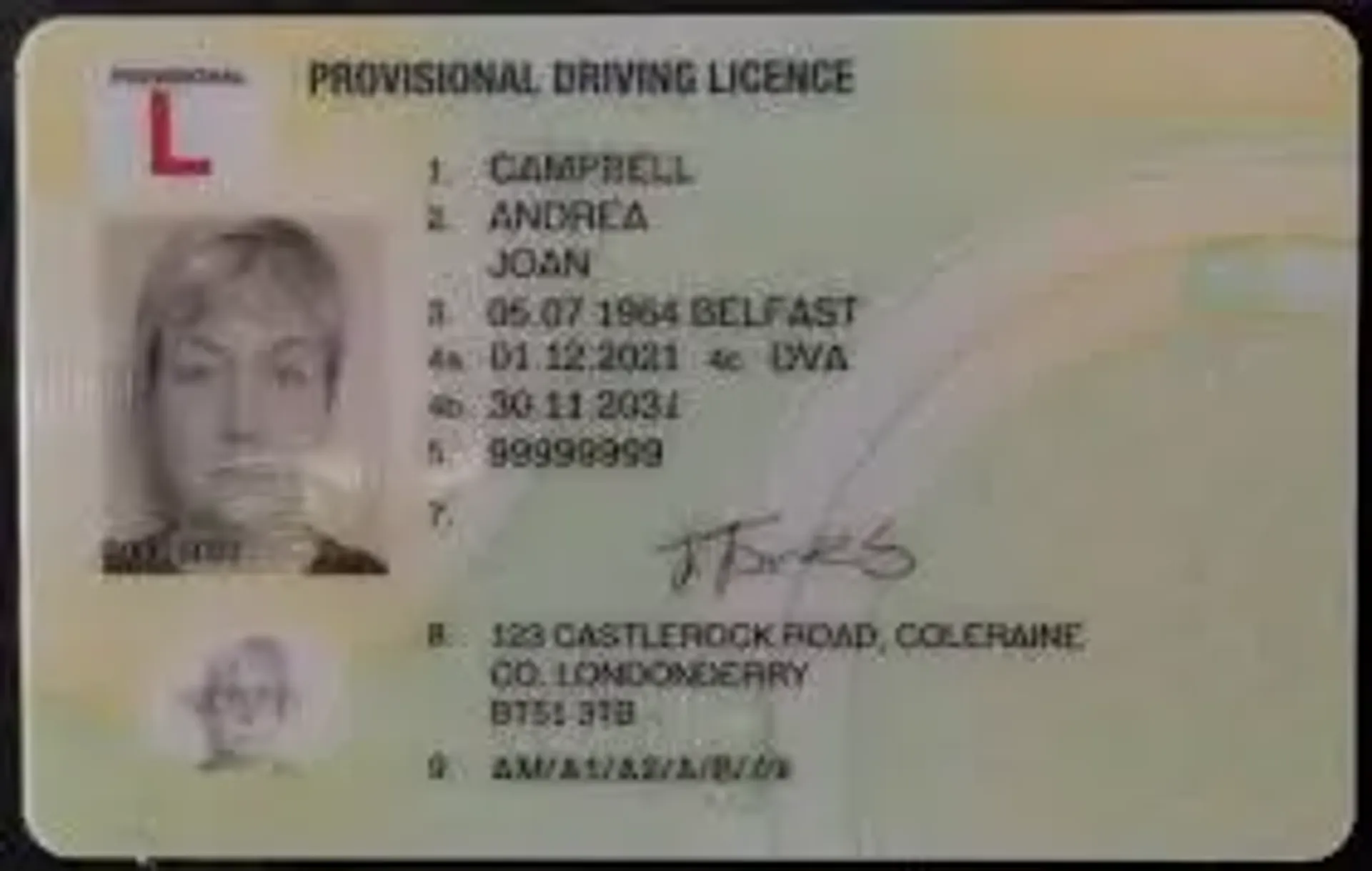 Provisional licence photo