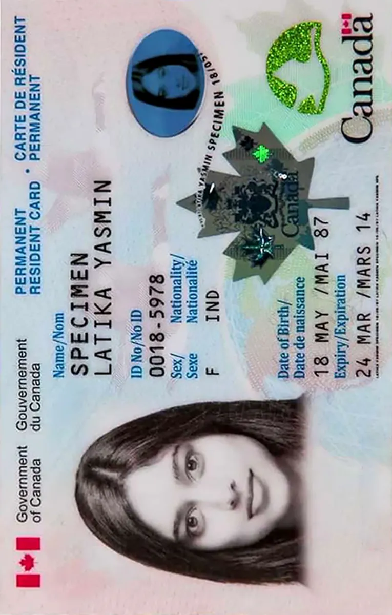 Dv Photo Example DV Lottery photo checker (w/ human expert verification)