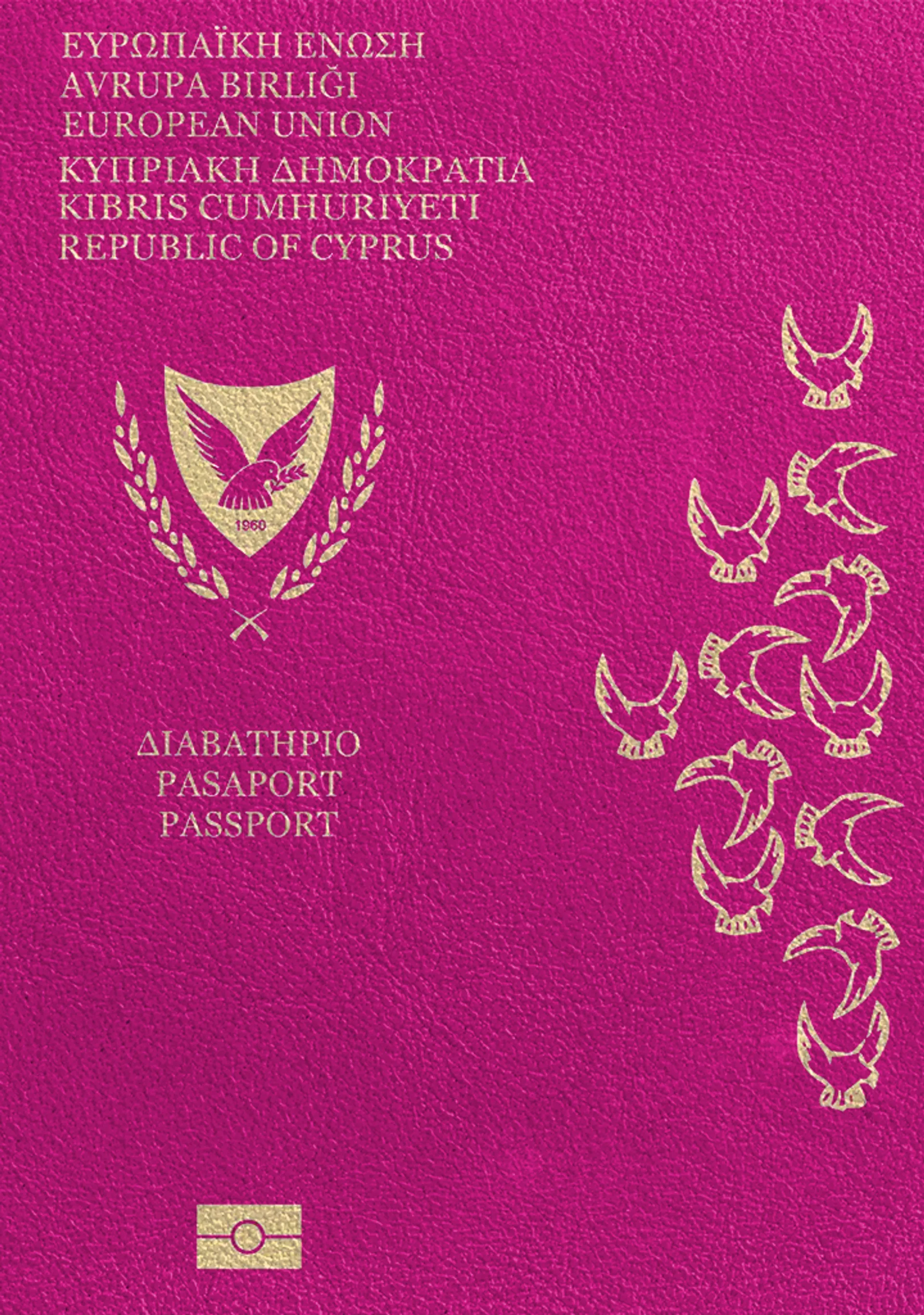 Kıbrıs Pasaport Fotoğrafı