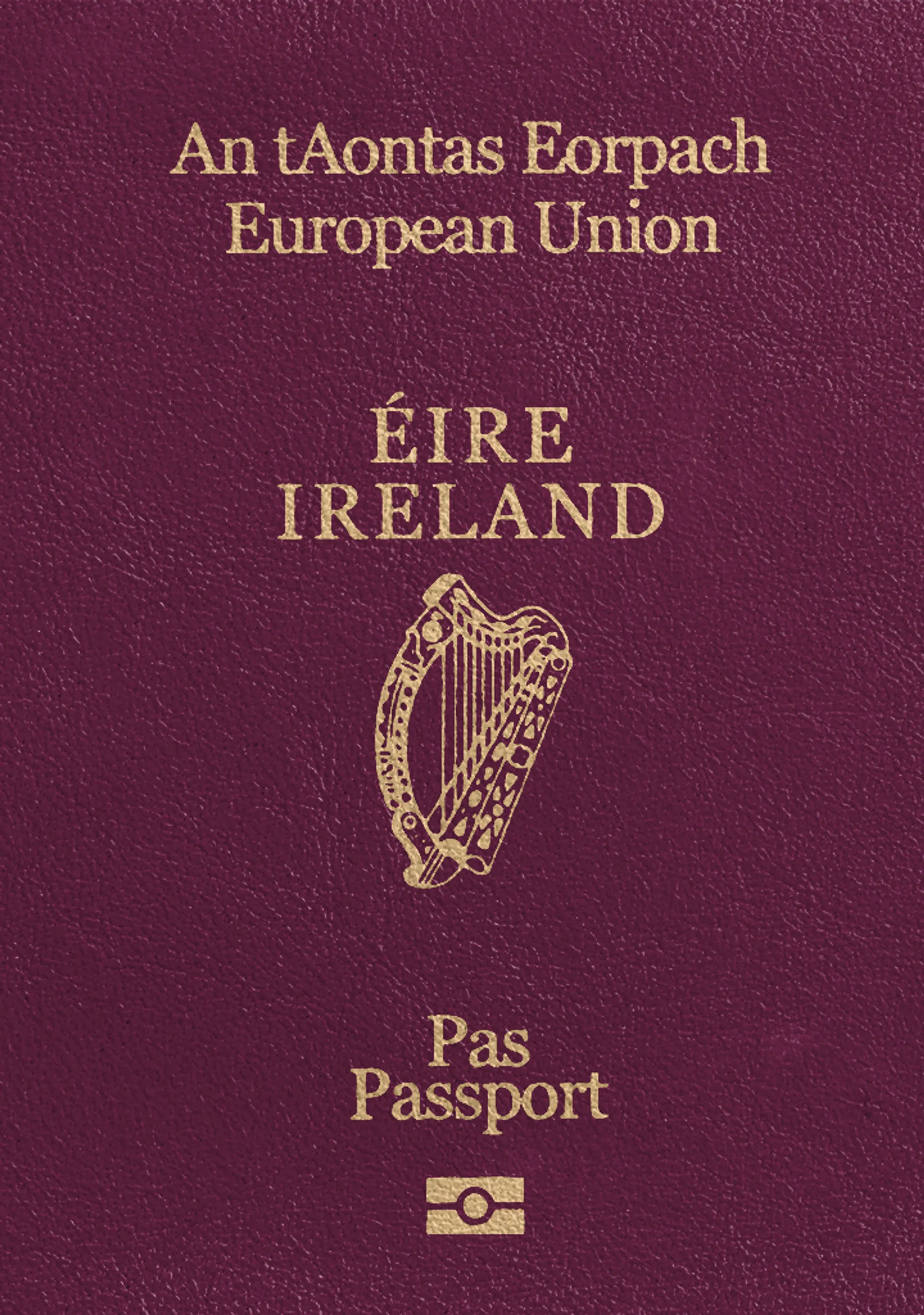 Irish Passport Photo