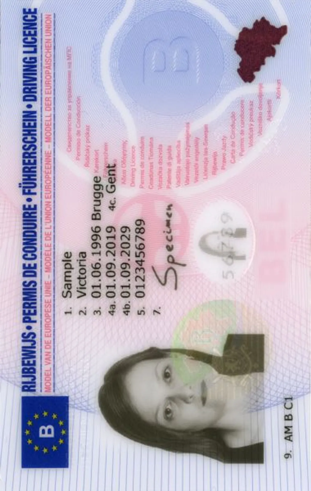 Permis de conduire belge