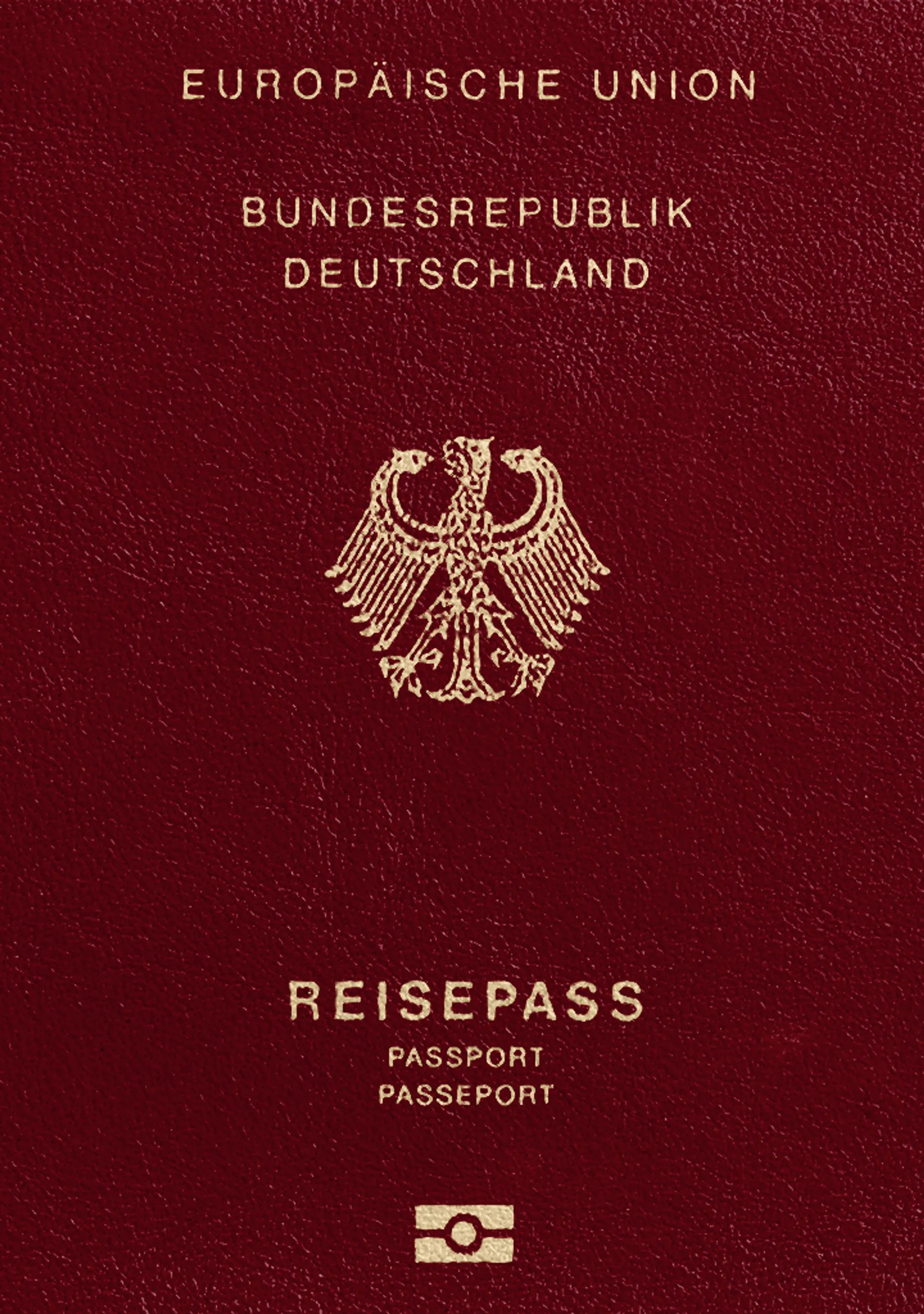 Biometrisches Passbild
